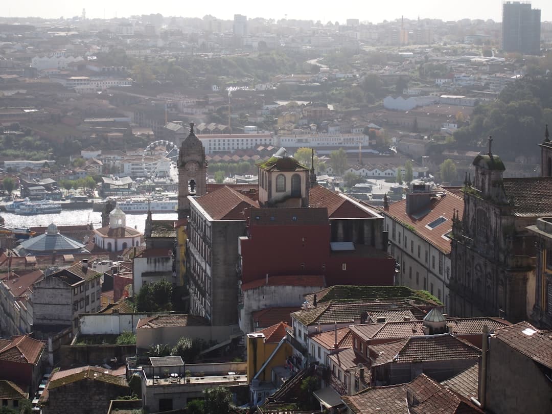 Widok na Porto, Portugalia: rzeka, budynki, czerwone dachy, wieża.