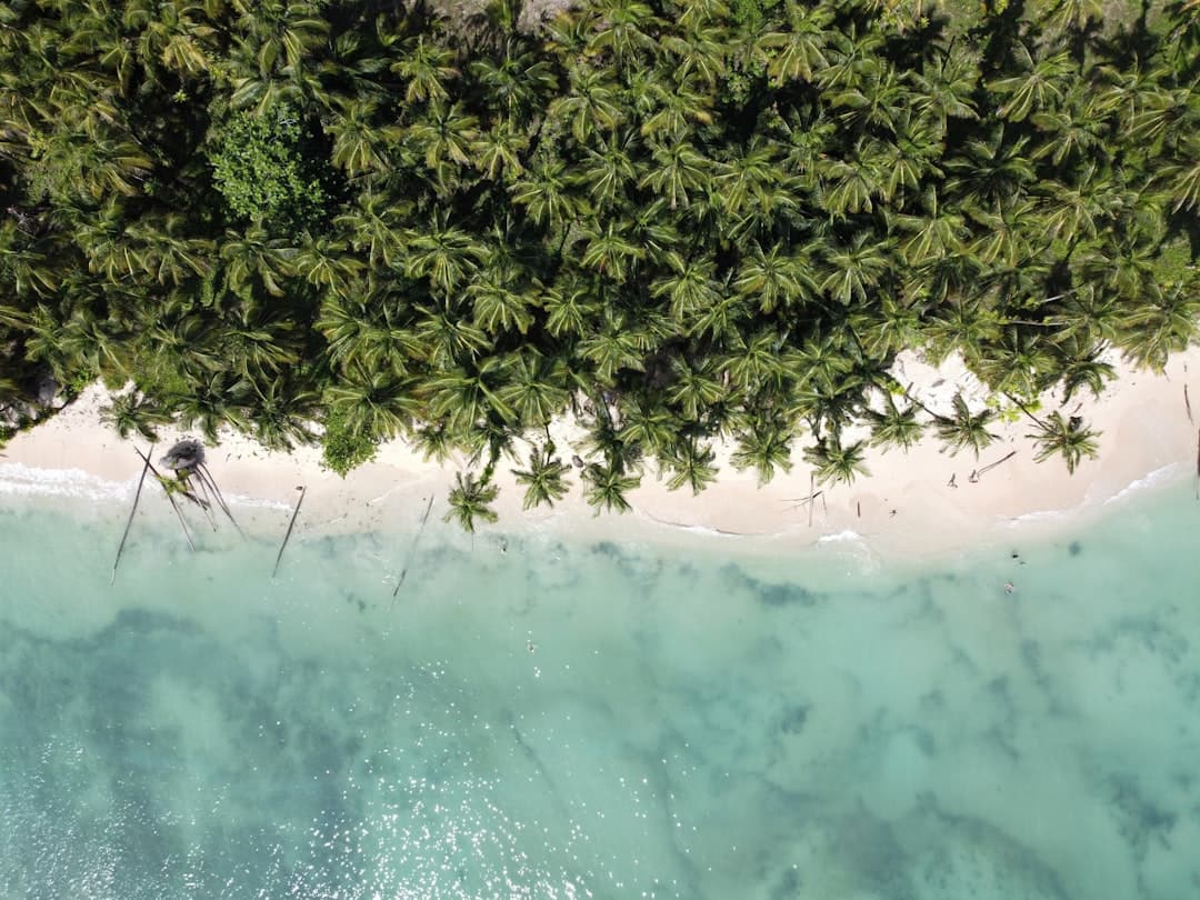 Tropikalna plaża z palmami, białym piaskiem i turkusową wodą.