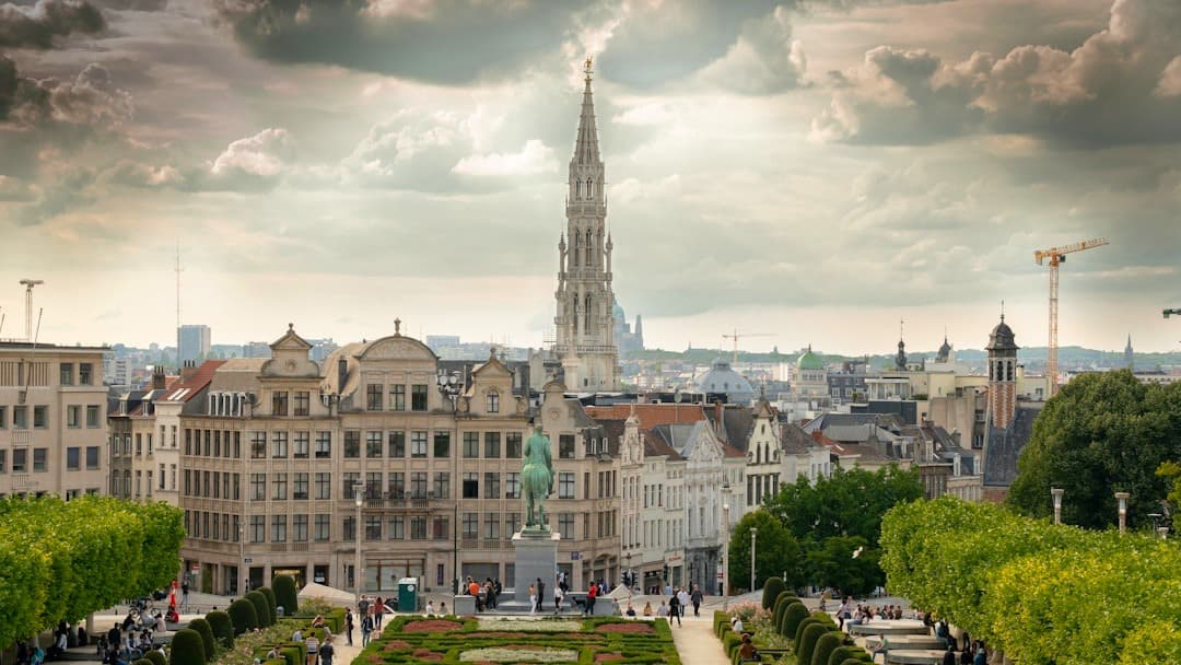 Panorama Brukseli, ratusz, ogrody Mont des Arts, historyczne budynki.
