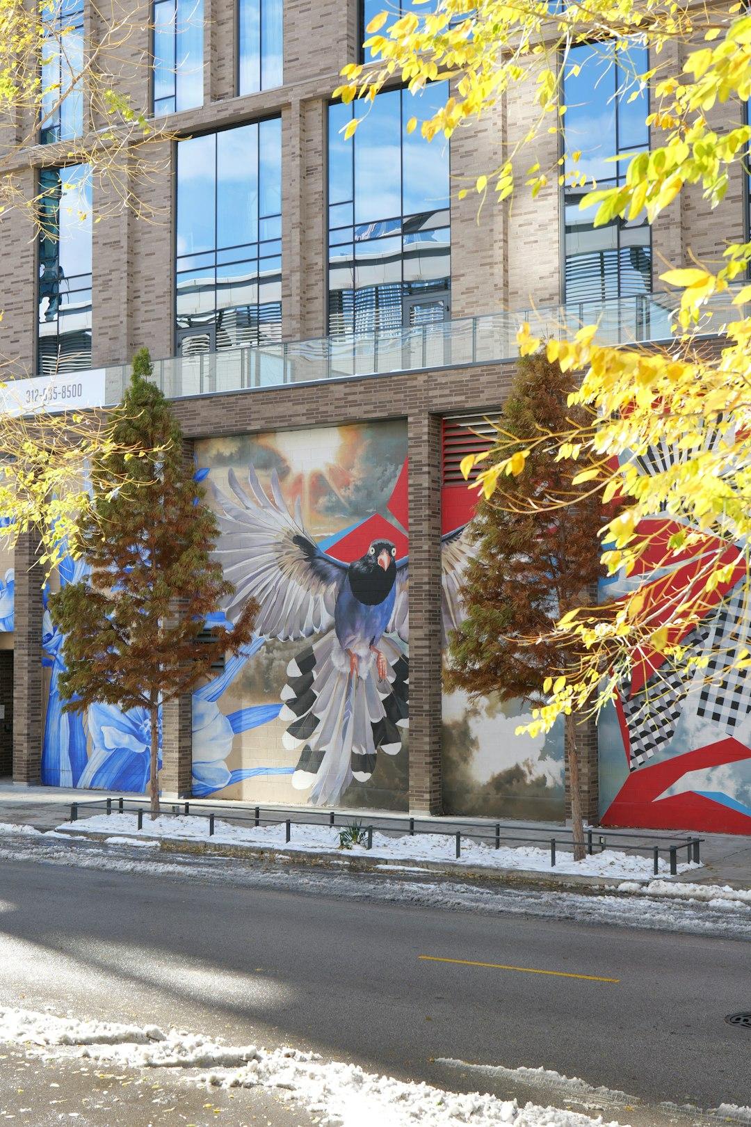 Mural z ptakiem na budynku, jesienne drzewa, ulica ze śniegiem.