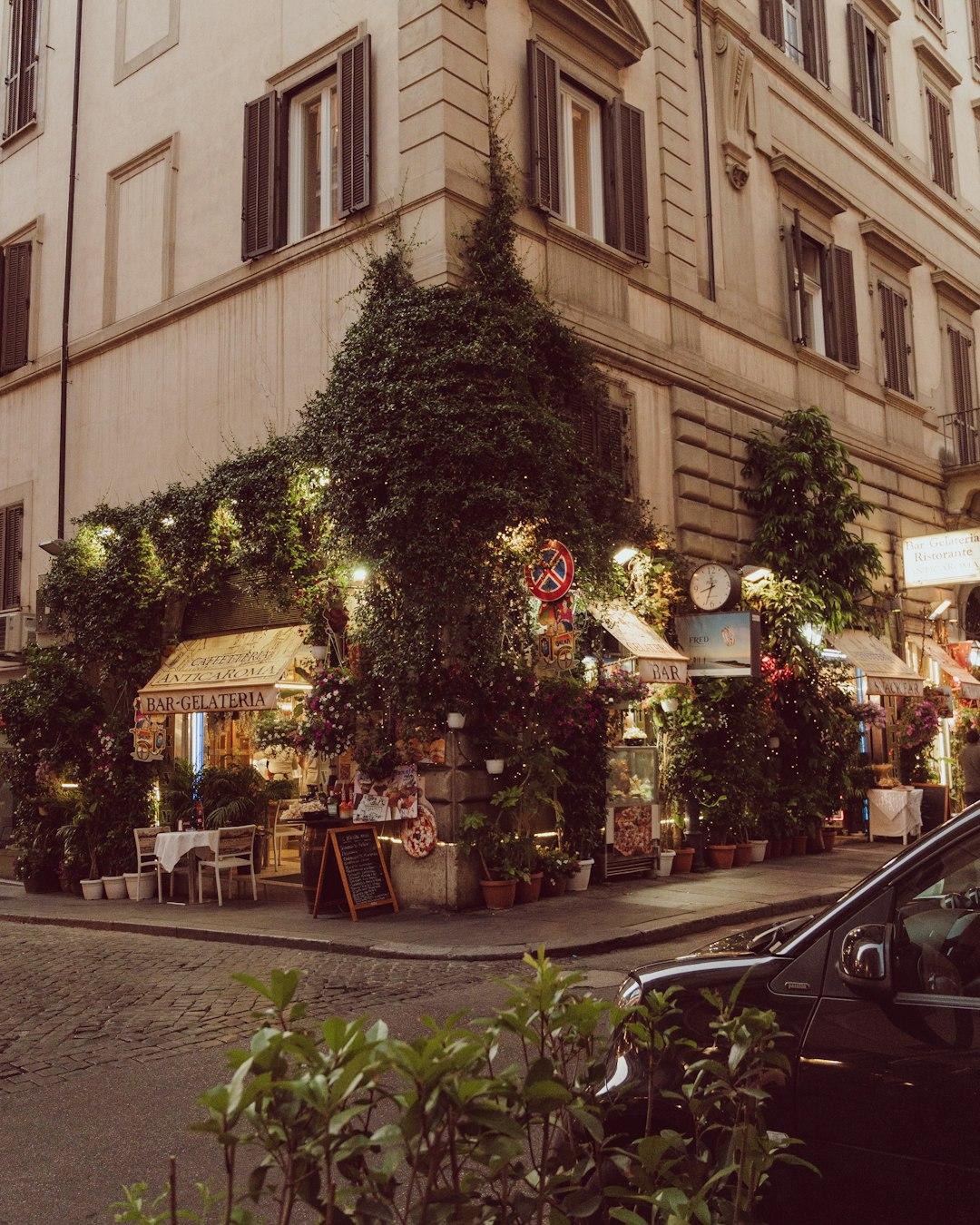 Urocza kawiarnia Bar-Gelateria pokryta bluszczem z oświetleniem na brukowanej ulicy.