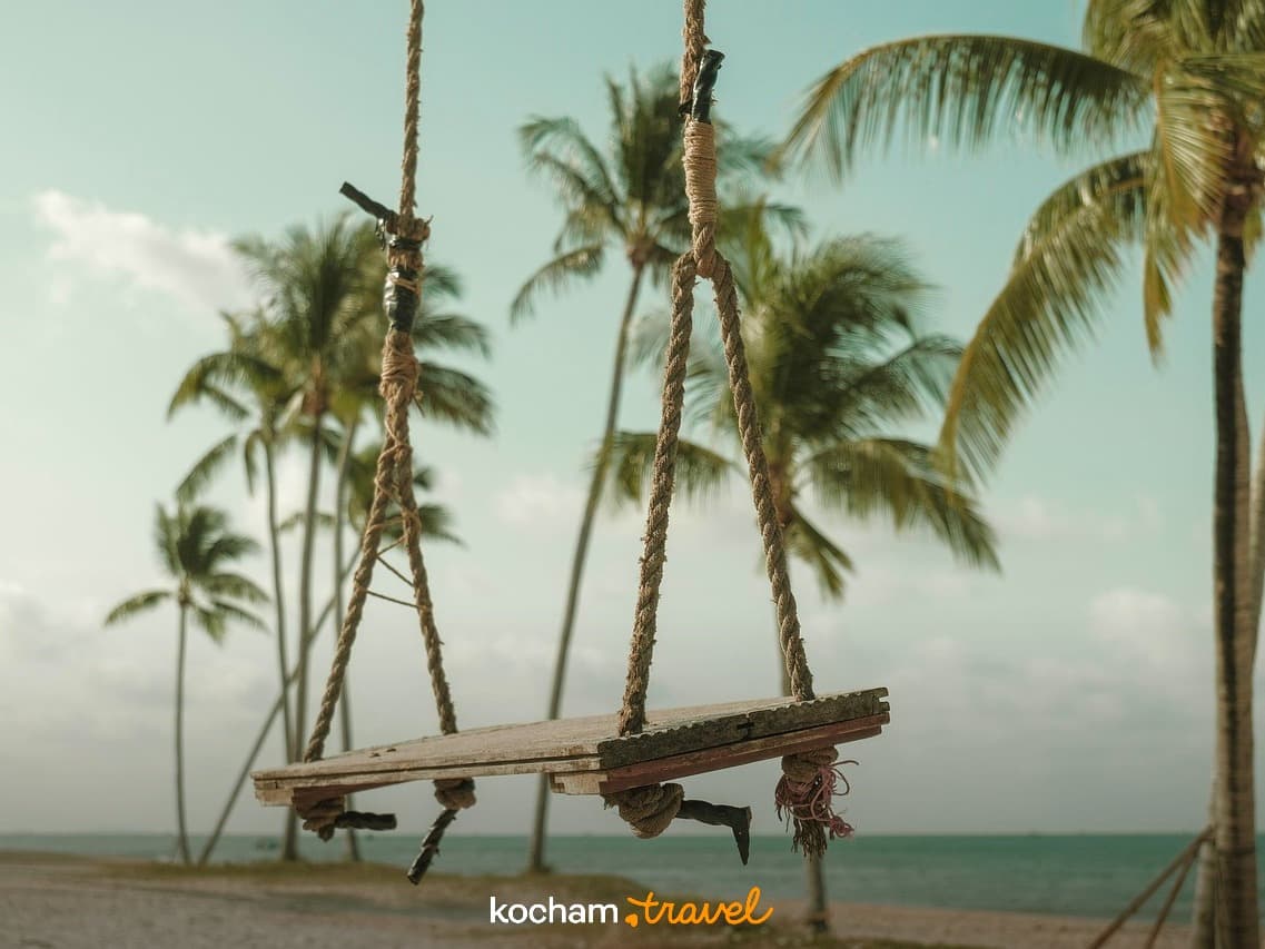 Drewniana huśtawka na tropikalnej plaży z palmami i turkusowym oceanem.