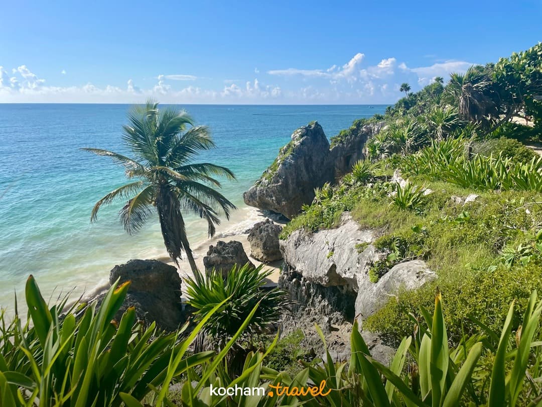 Tropikalna plaża, turkusowy ocean, palma, skaliste klify, bujna zieleń.