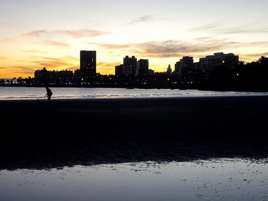 Słoneczna promenada Rambla w Montevideo