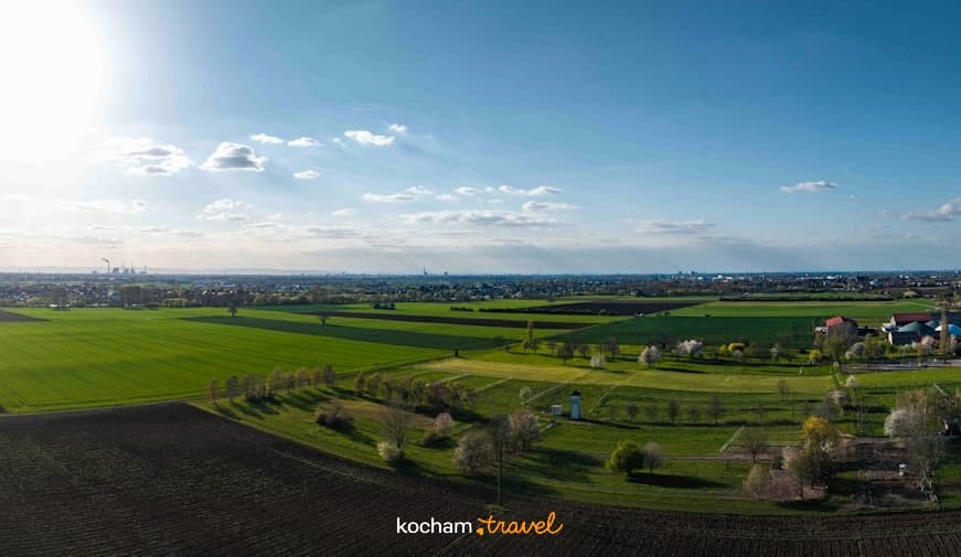 Panoramiczny krajobraz pól uprawnych i odległego miasta w słońcu.