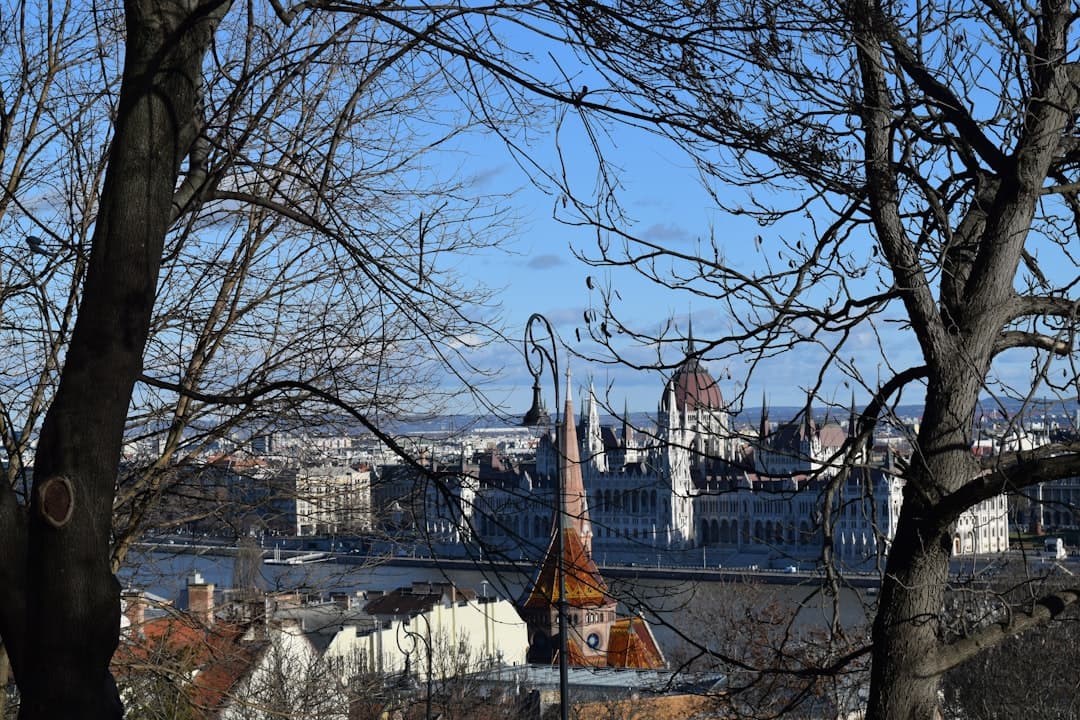 Budapeszt w tle z rodziną bawiącą się w parku