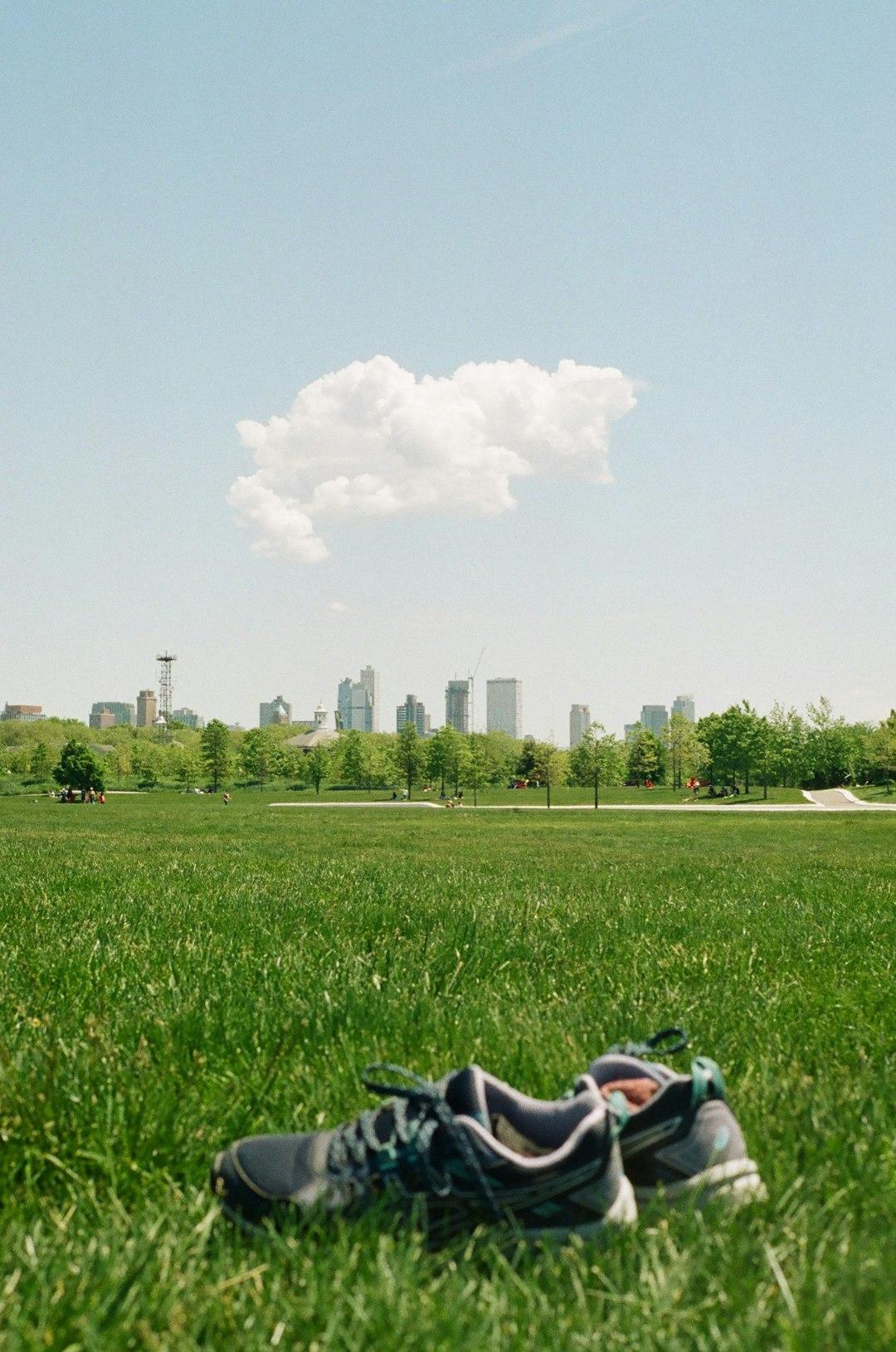 Buty do biegania na trawie w parku z panoramą miasta.