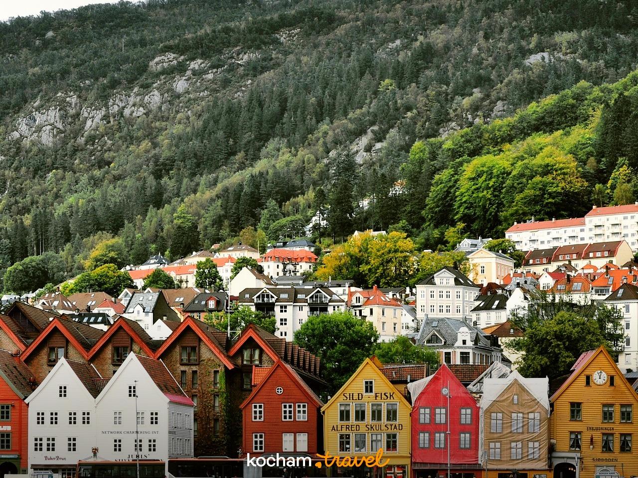 Kolorowe historyczne budynki Bryggen, nabrzeże portowe Bergen, zalesione wzgórze.