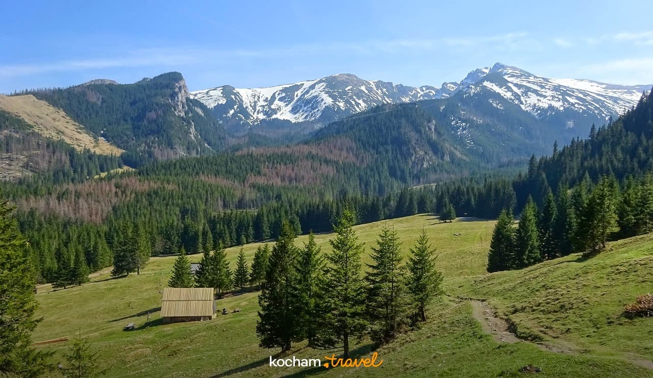 Góry, śnieg, zielona dolina, las, chata, słoneczny dzień