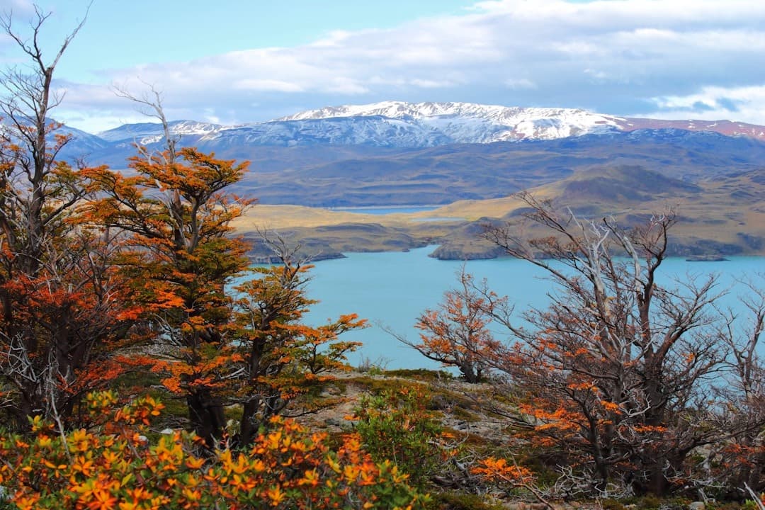 Patagonia jesienią: turkusowe jezioro, pomarańczowe drzewa, ośnieżone góry.