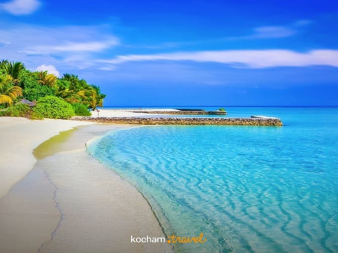 Rajska tropikalna plaża z turkusową wodą i palmami.