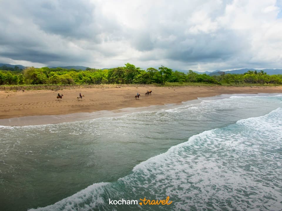 Ludzie jadący konno po tropikalnej plaży nad oceanem.