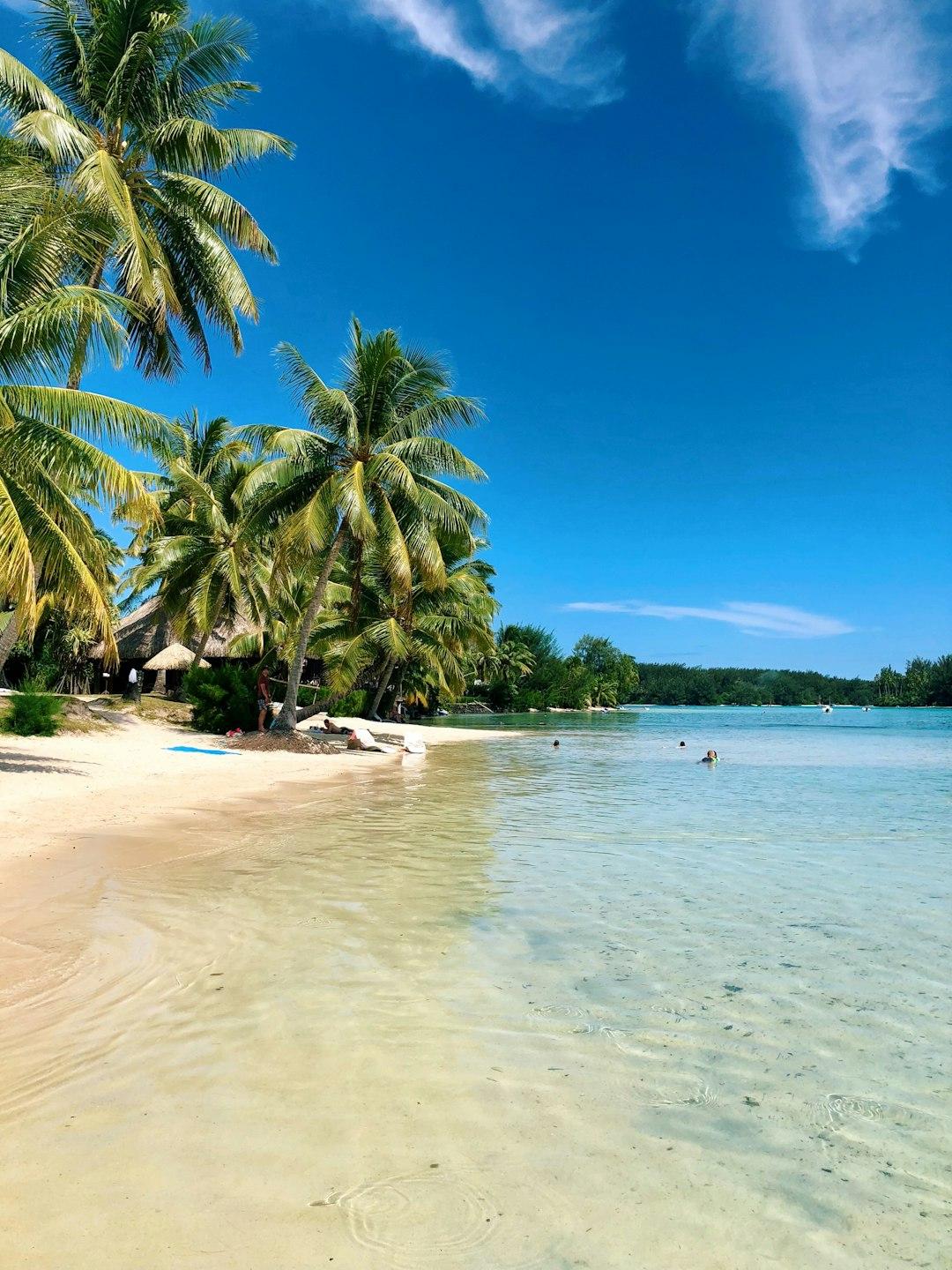 Tropikalna plaża, palmy, krystalicznie czysta woda, raj.