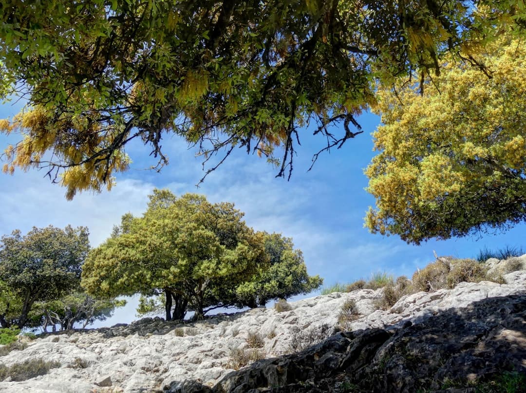 Oszałamiający krajobraz górski w Serra de Tramuntana
