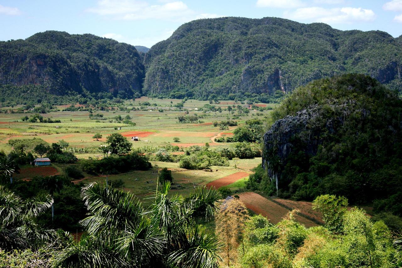 Plantacje tytoniu w dolinie Viñales