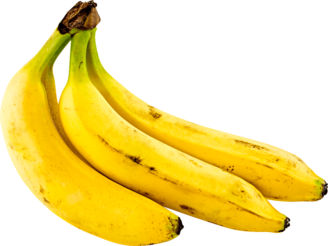 Nowoczesne dania w La Musa