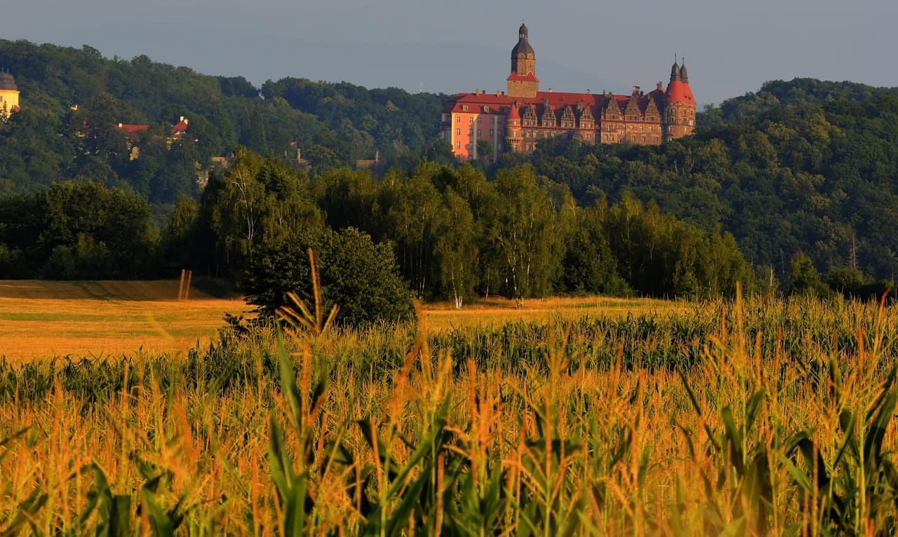 Zamek Książ z widokiem na okolicę
