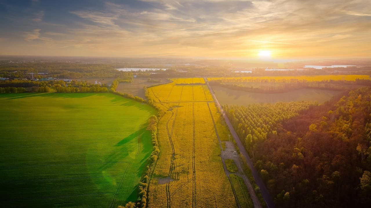 Widok na krajobraz Orinoquii