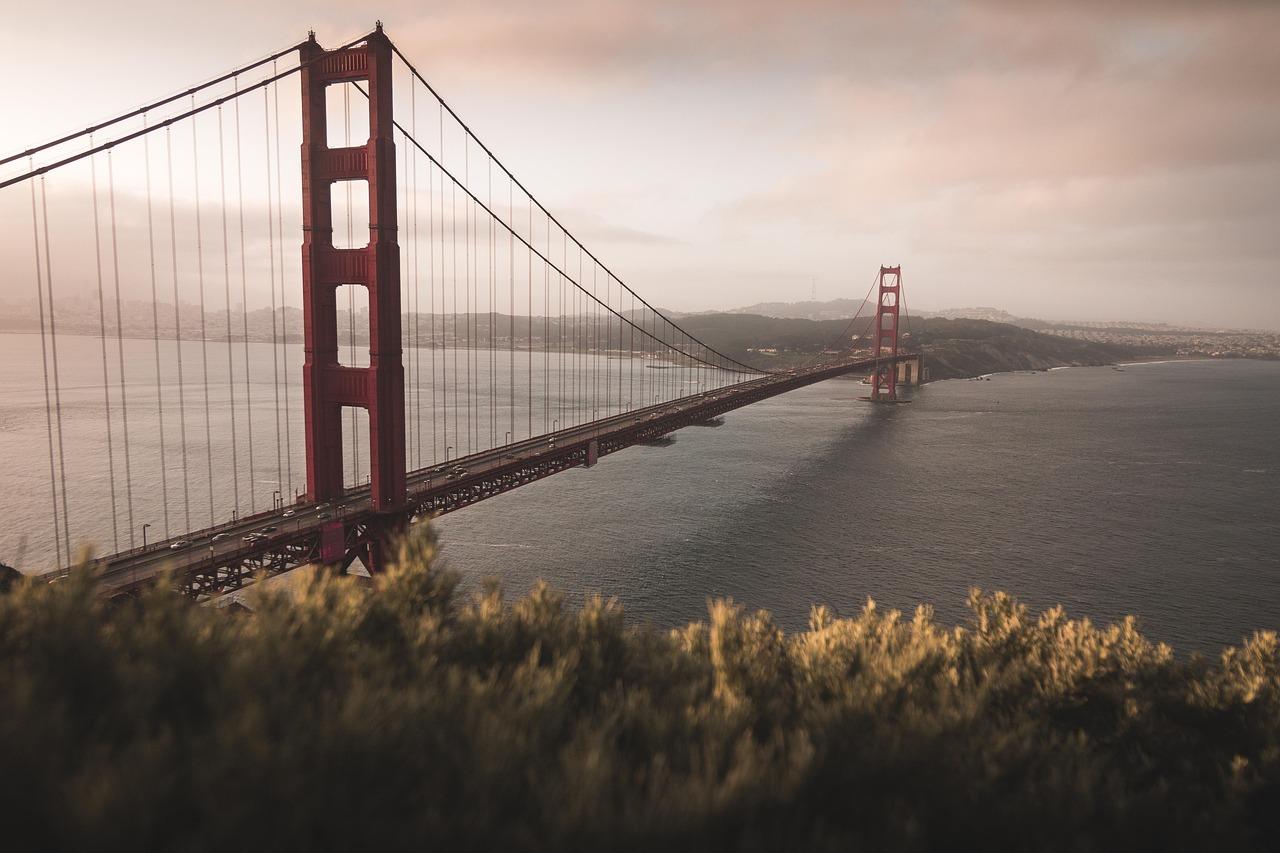 Widok z Hawk Hill na most Golden Gate