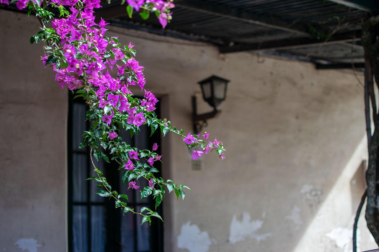 Typowe potrawy w Colonia del Sacramento