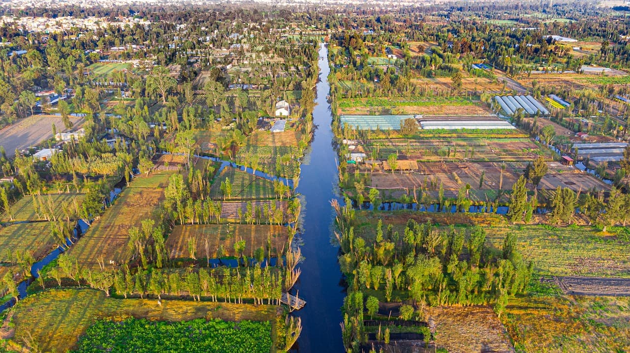 Trajineras w Xochimilco