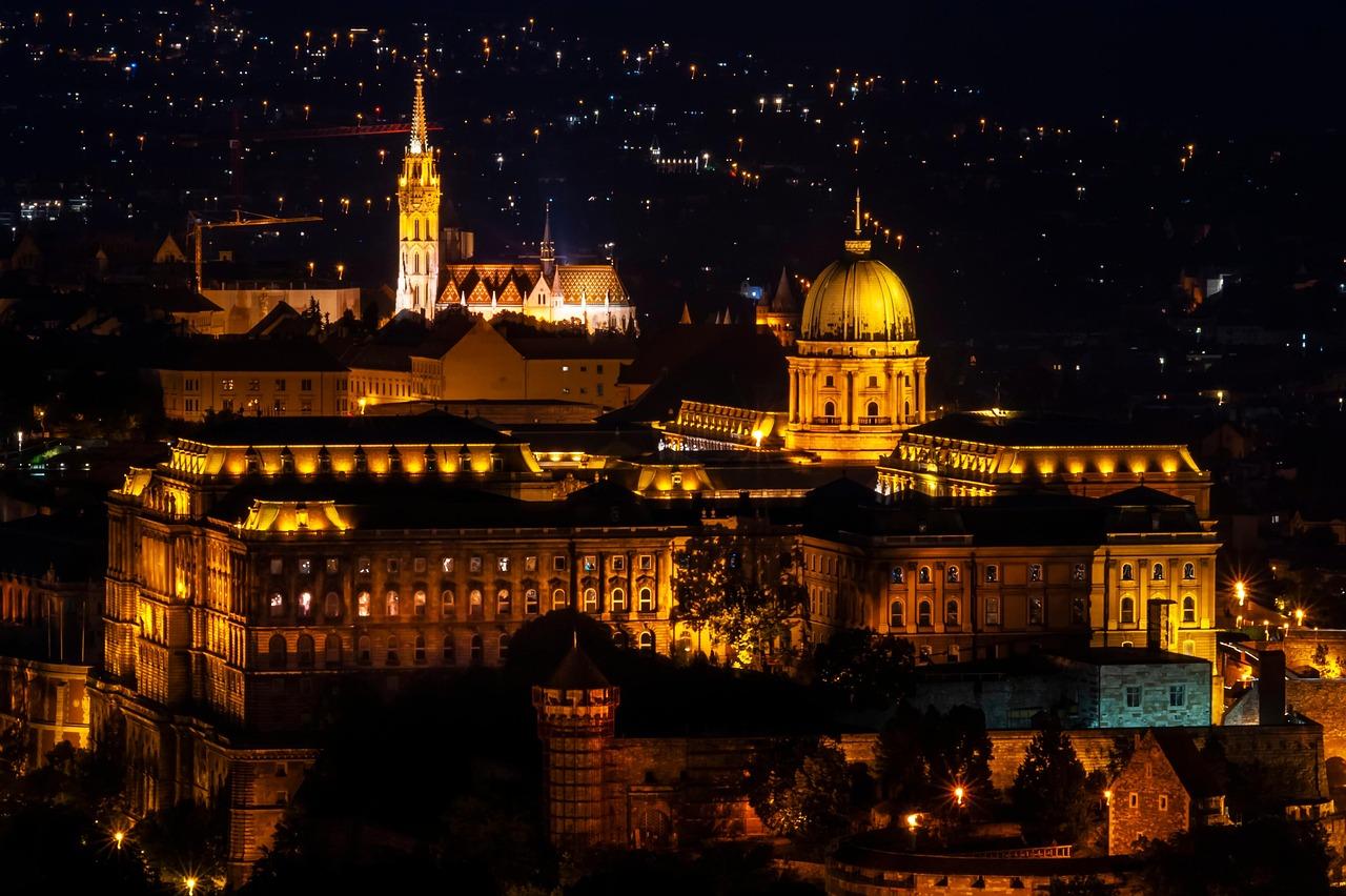 Nocne życie w Zatoce Naama