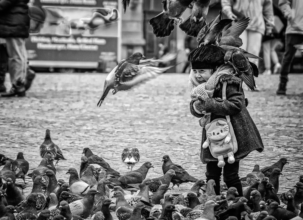 Amsterdam: najlepsze punkty widokowe i zdjęcia?