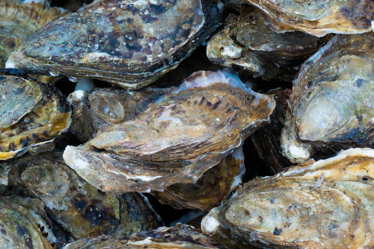Ostryg z Bassin d’Arcachon sprzedawane na targu