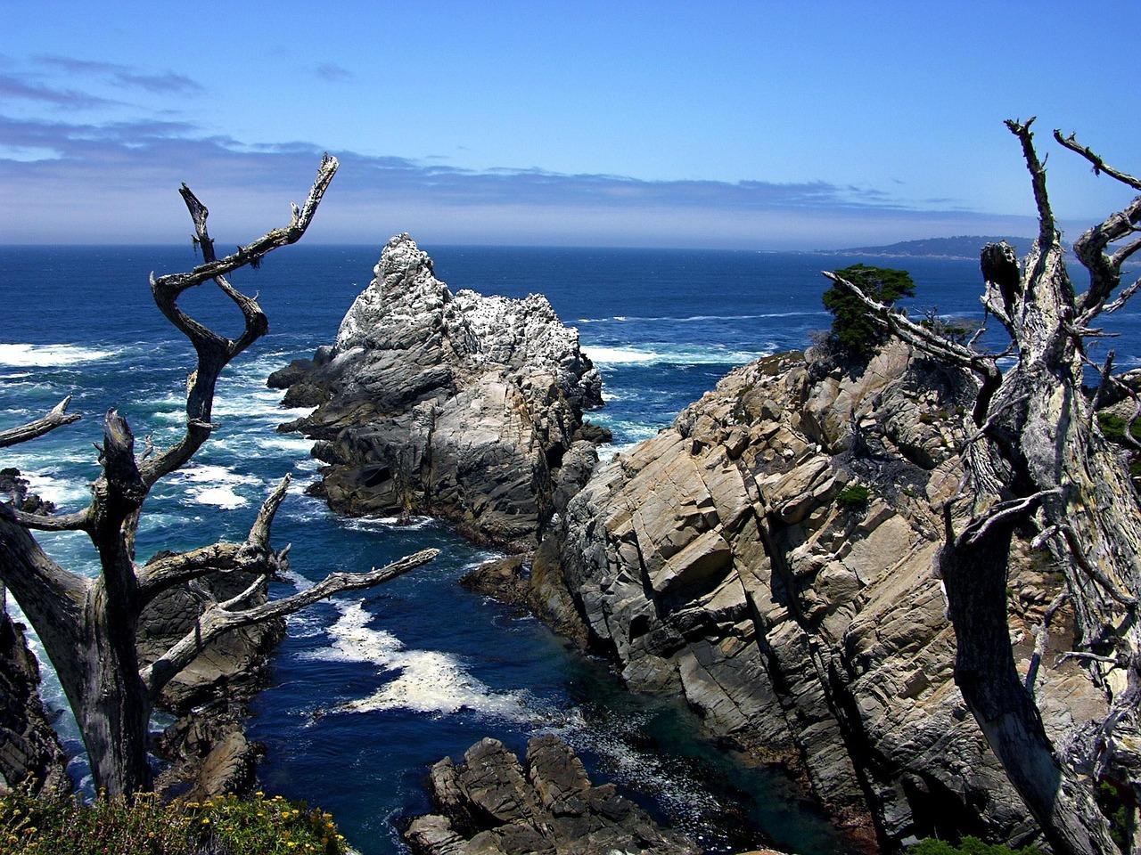 Widok na Point Lobos