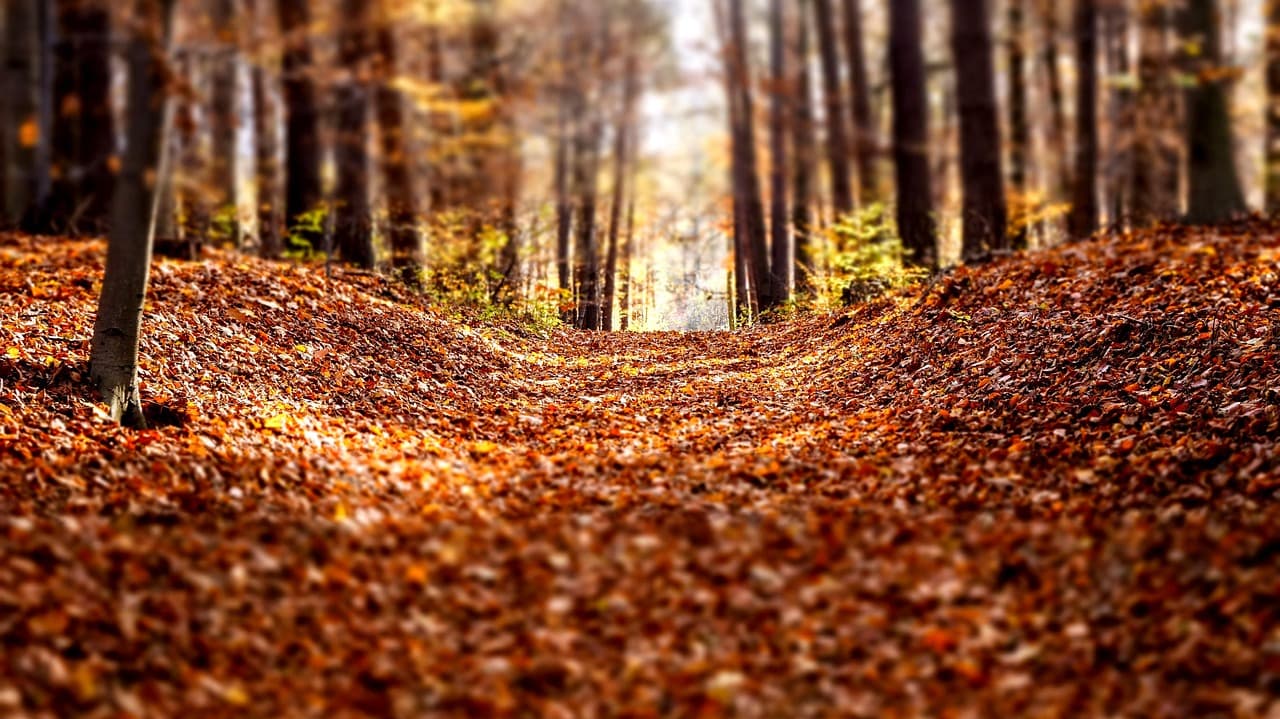 Panoramiczny widok na Lanzarote