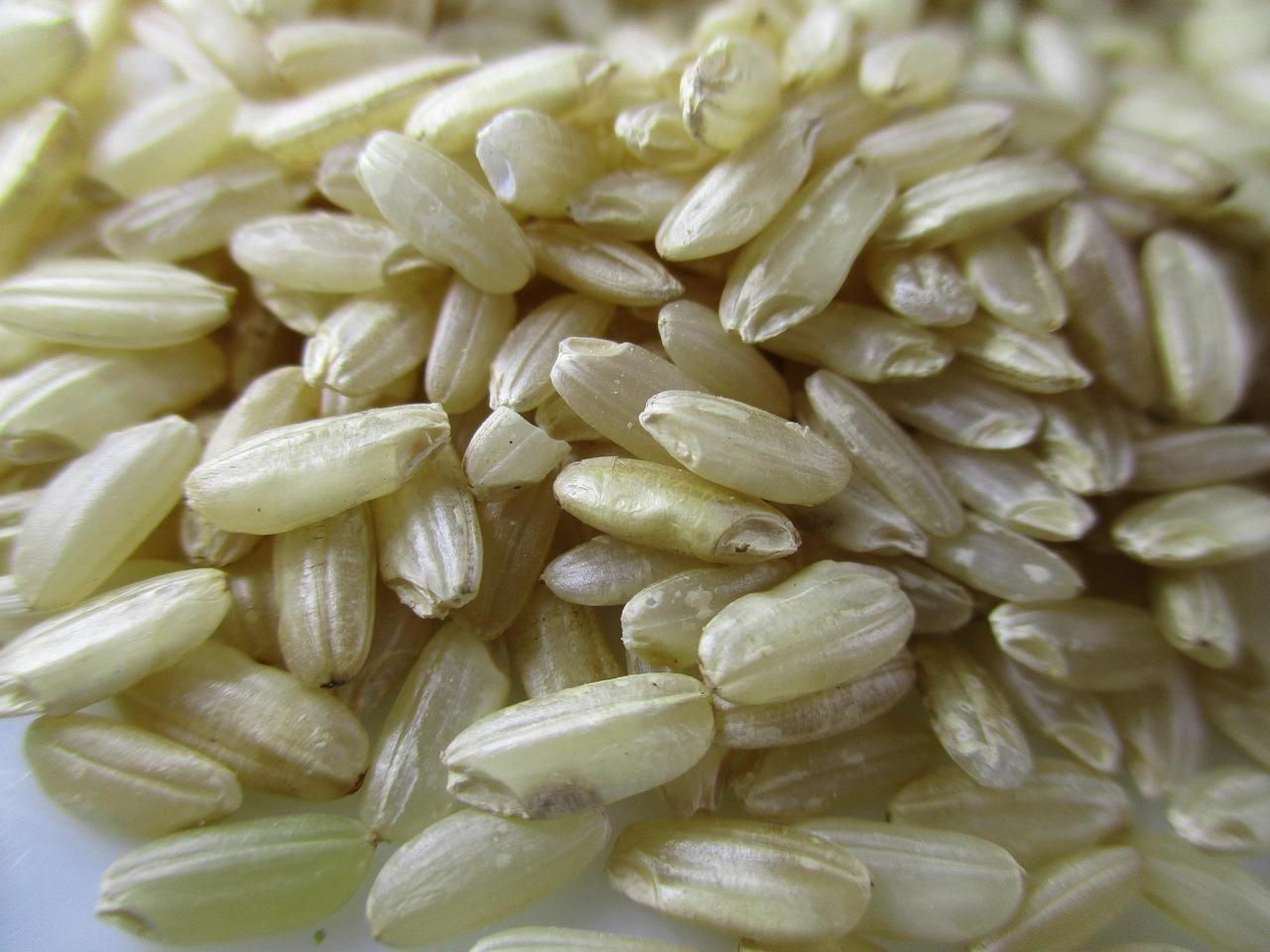 Czarne risotto w Gradska Kavana Arsenal