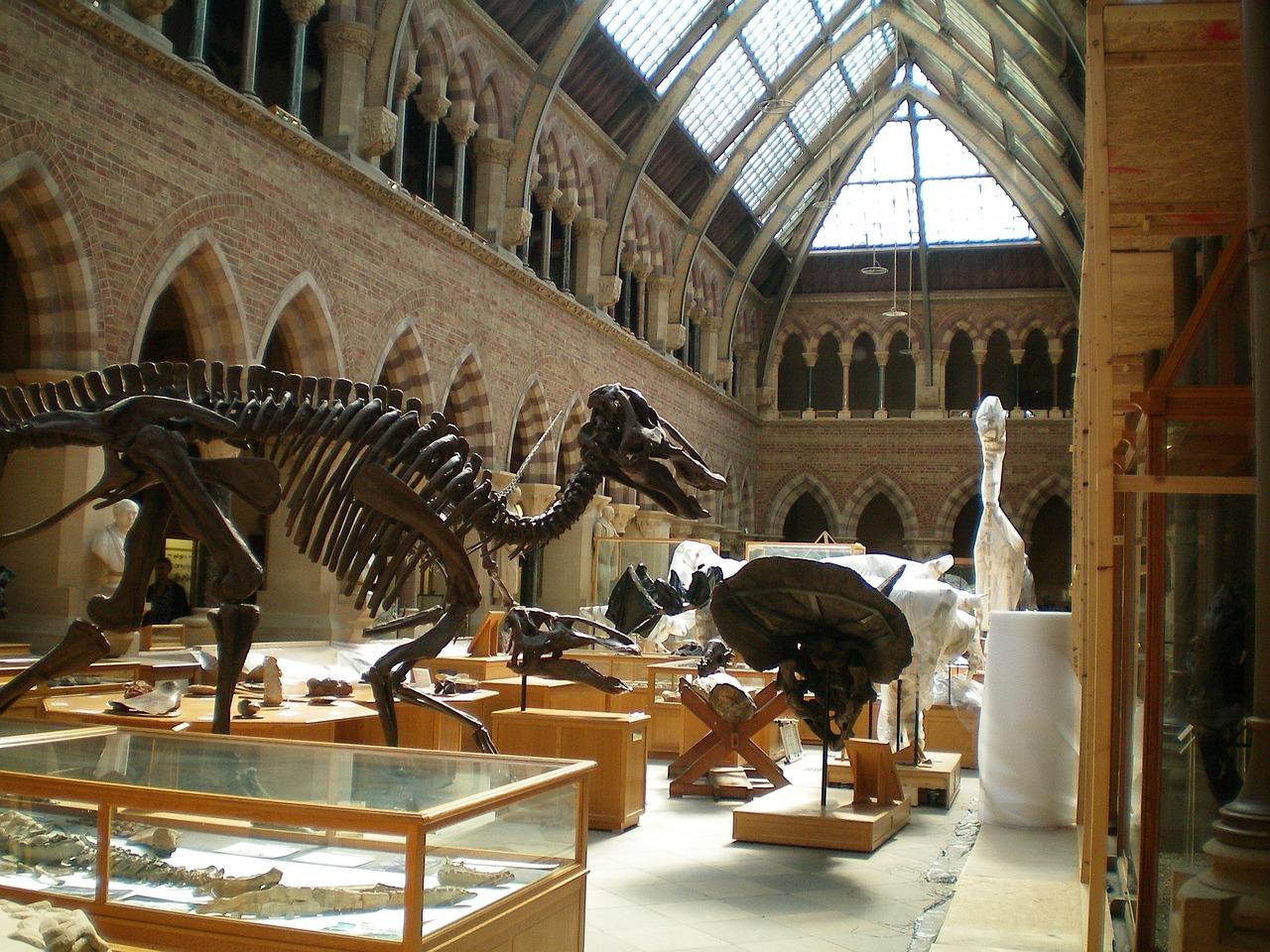 Wnętrze Muzeum Déri w Debreczynie