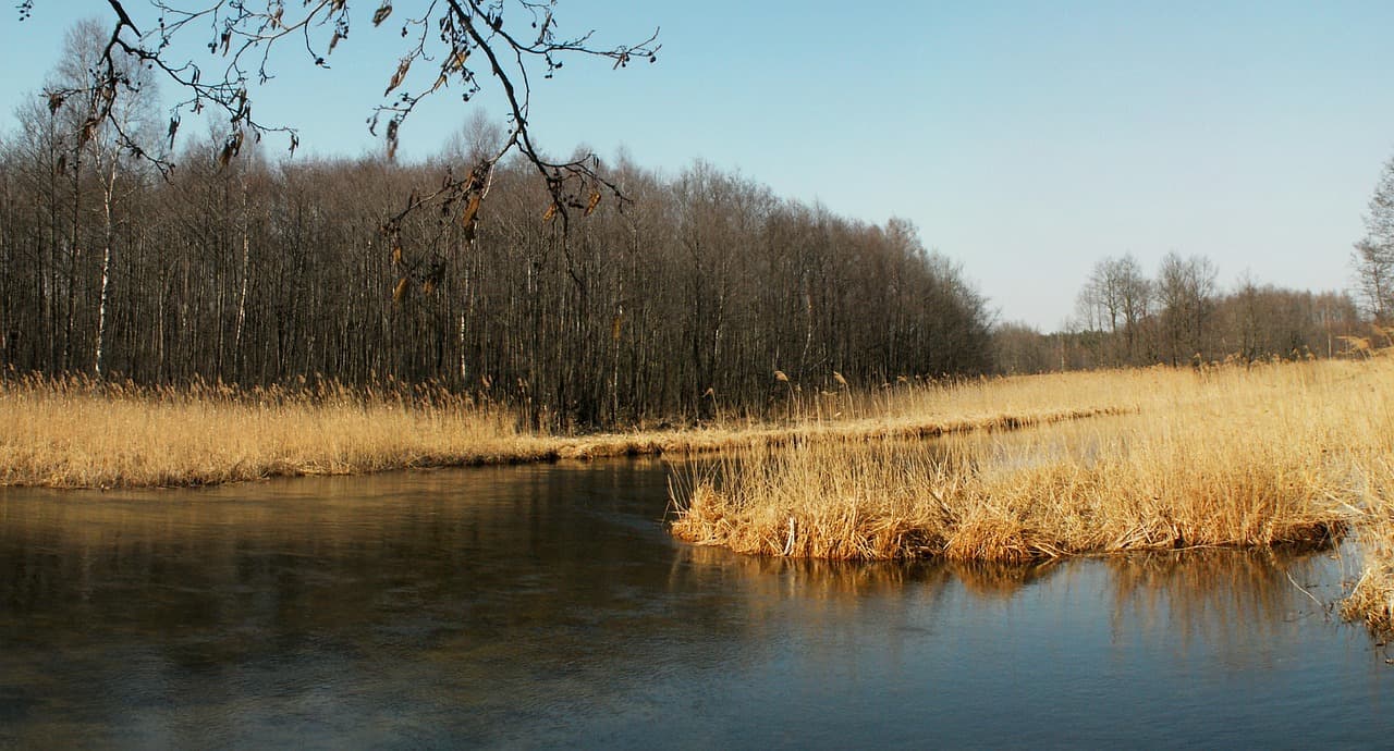 Widok na piękne widoki z Parku Narodowego Black River Gorges
