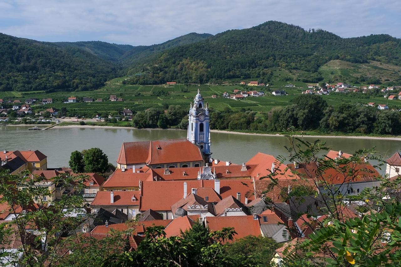 Wachau Valley z winoroślami