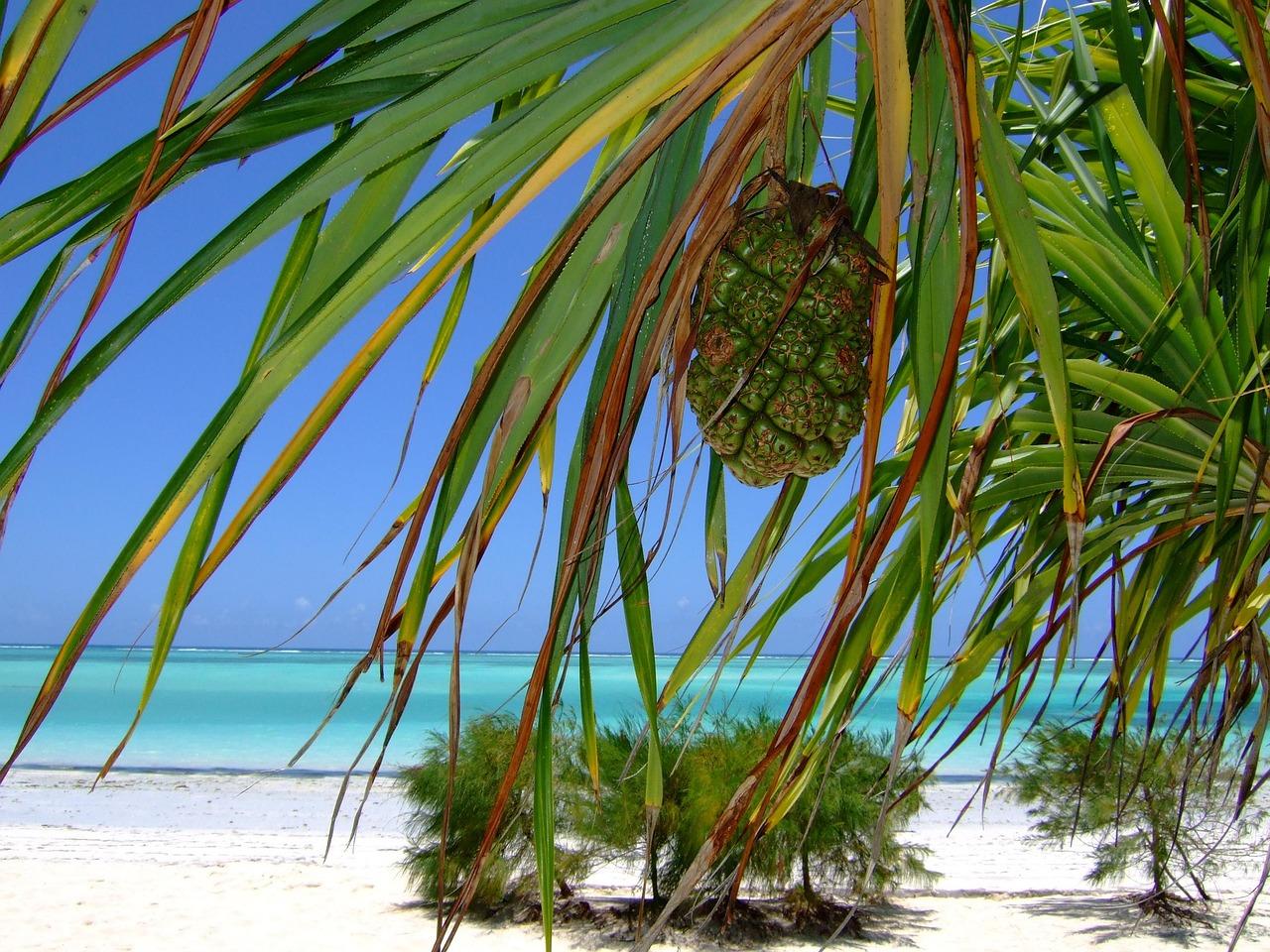 Plaża na Zanzibarze z białym piaskiem