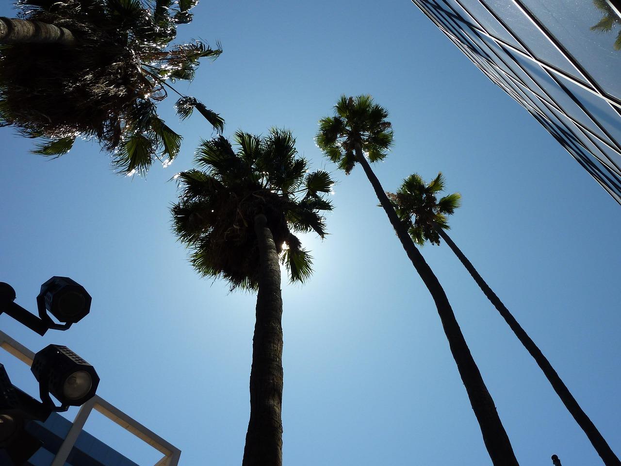 Widok na Los Angeles
