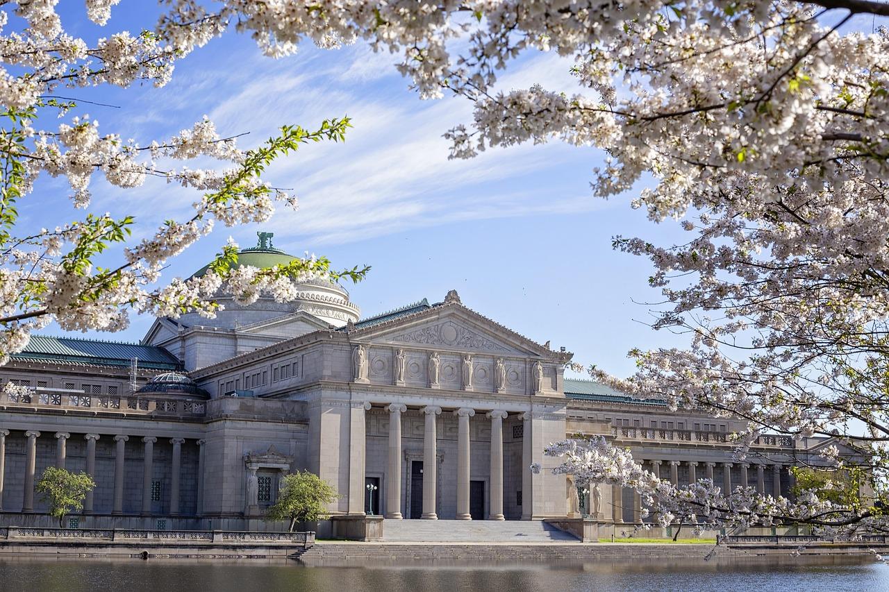 Muzeum Sztuki w Chicago