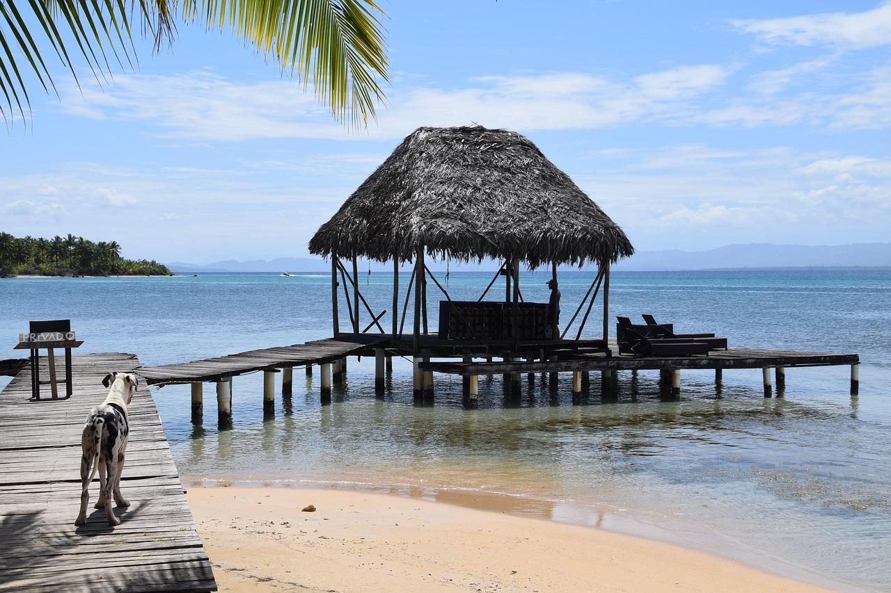 Bocas del Toro: gdzie zjeść — lokalne klasyki i street food?