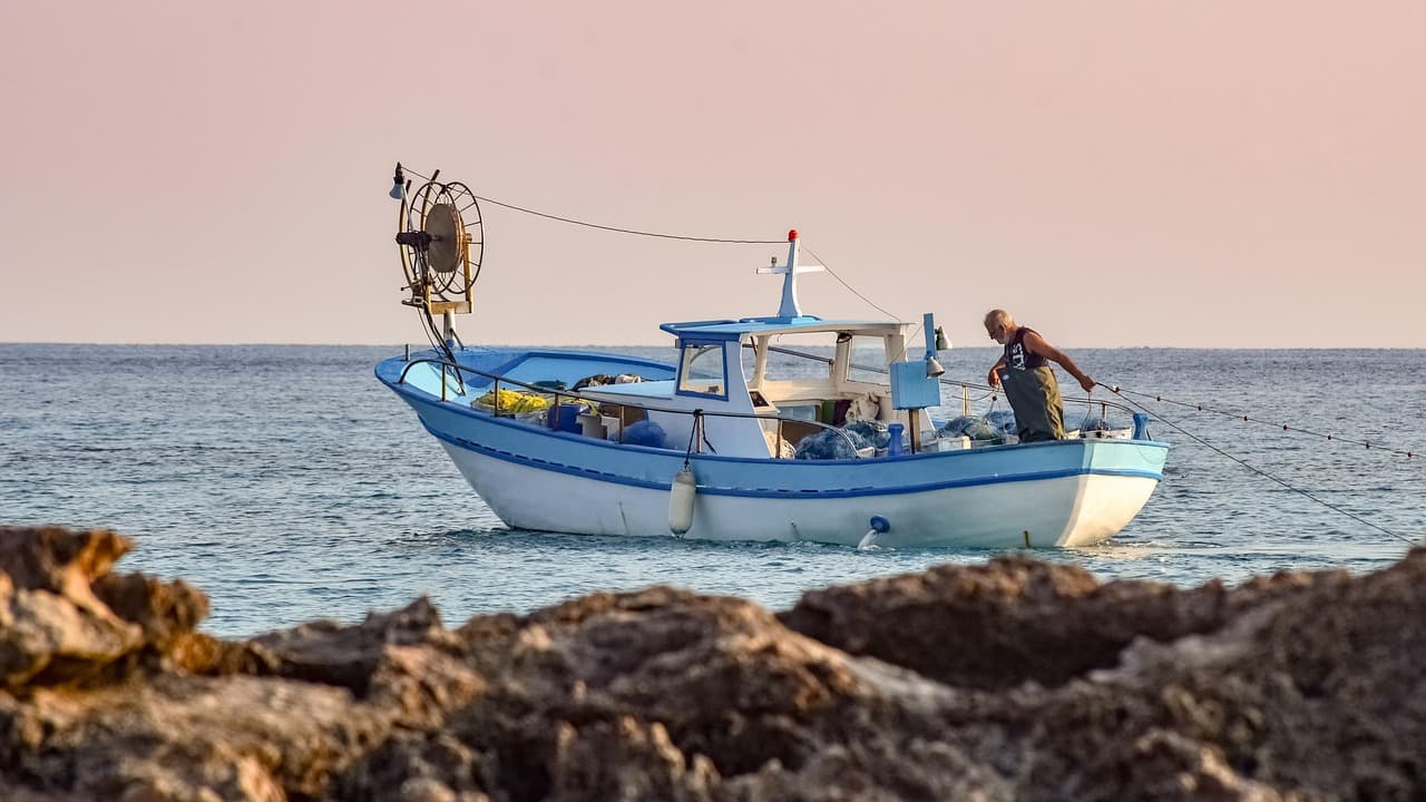 Zestaw owoców morza w Ayia Napa