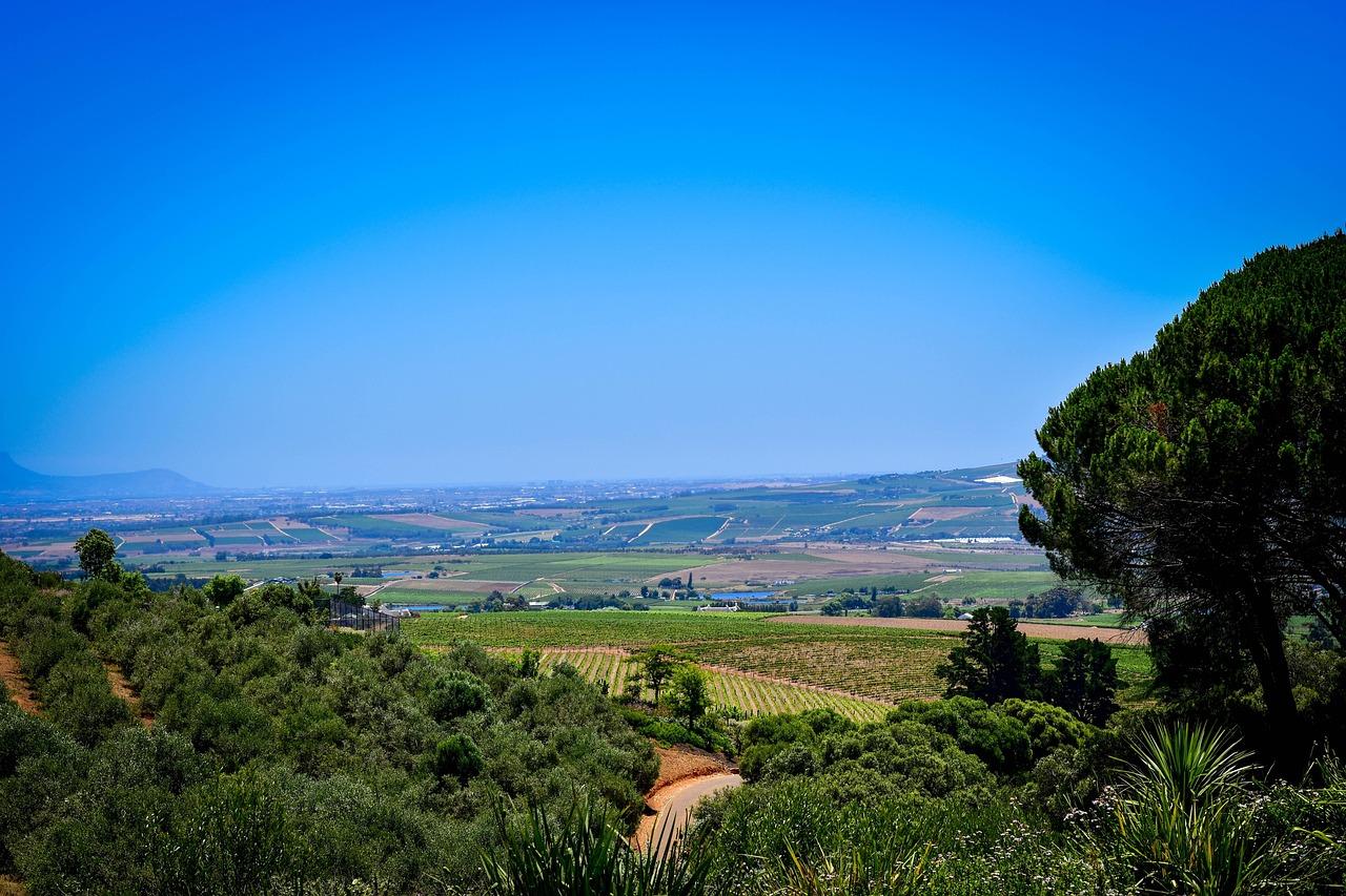 Festiwal kulinarny w Stellenbosch