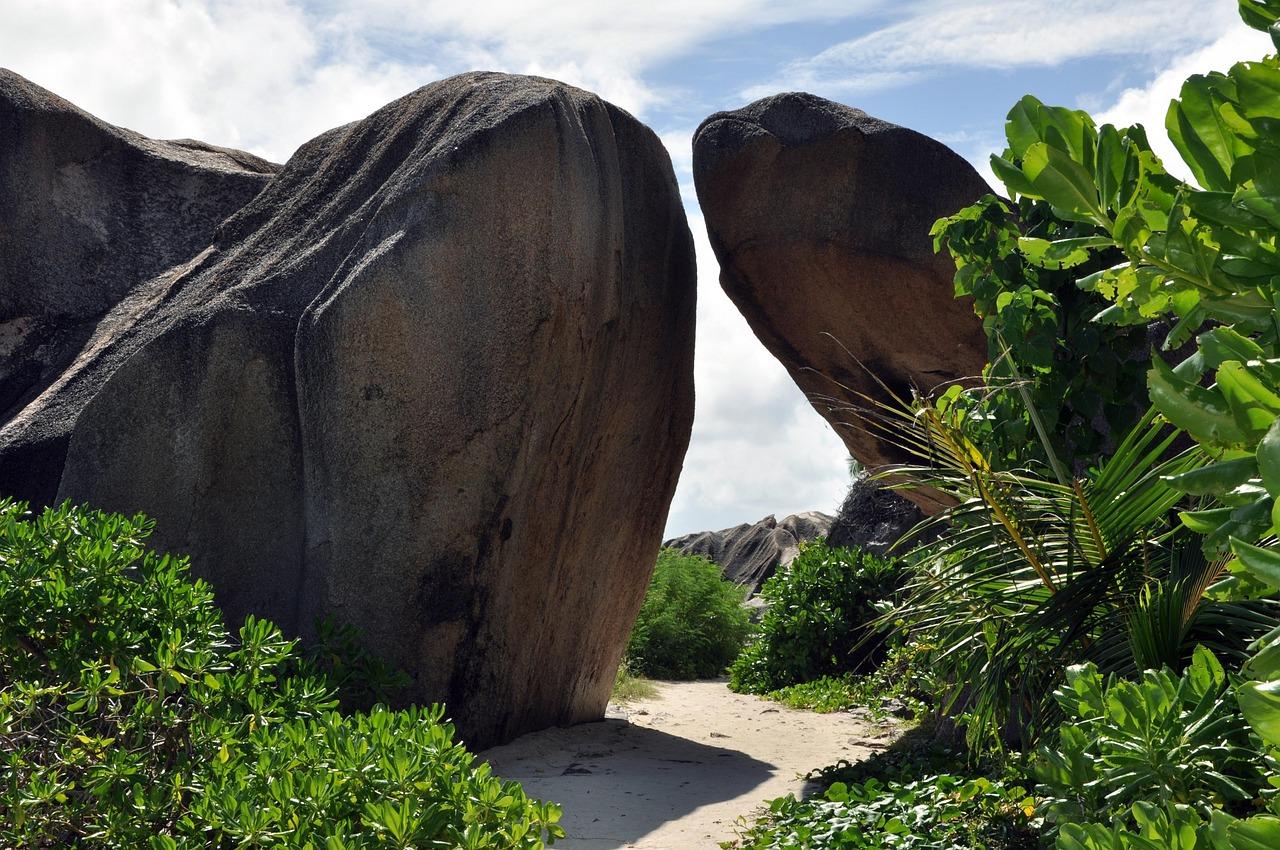 Plantacja kokosów na La Digue