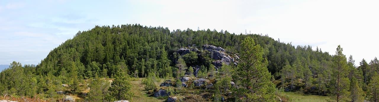 Widok z Tyholttårnet