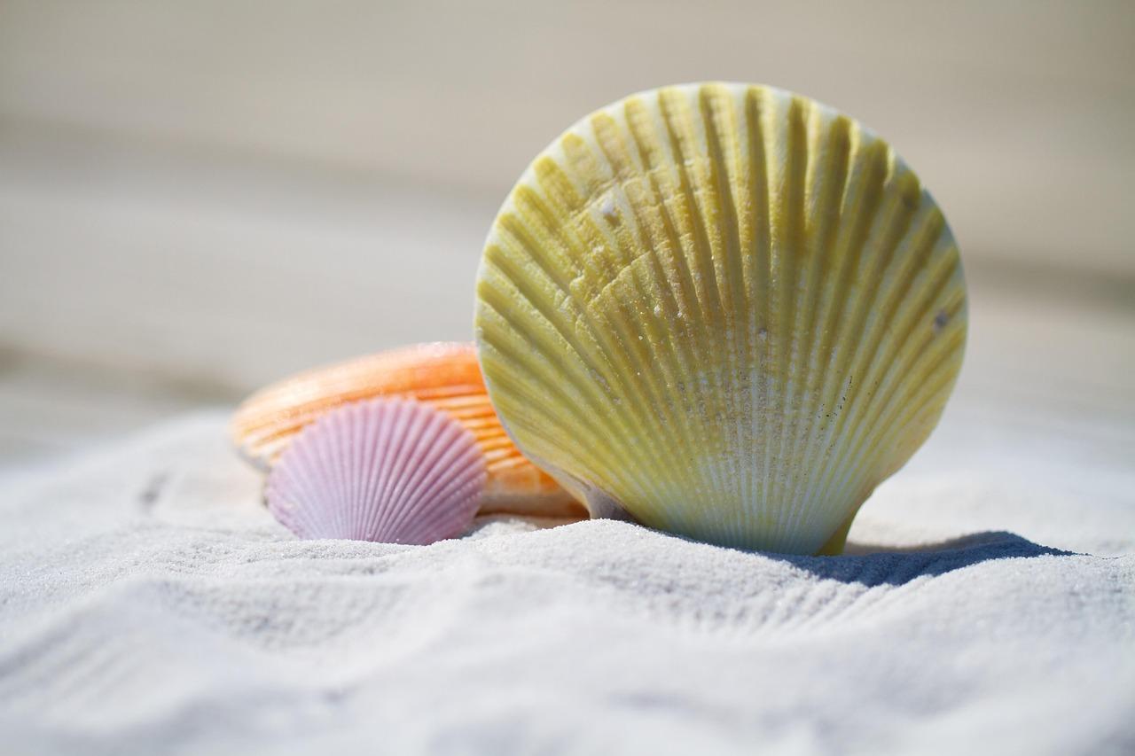 Piaszczysta plaża na wyspie Kos z turkusową wodą