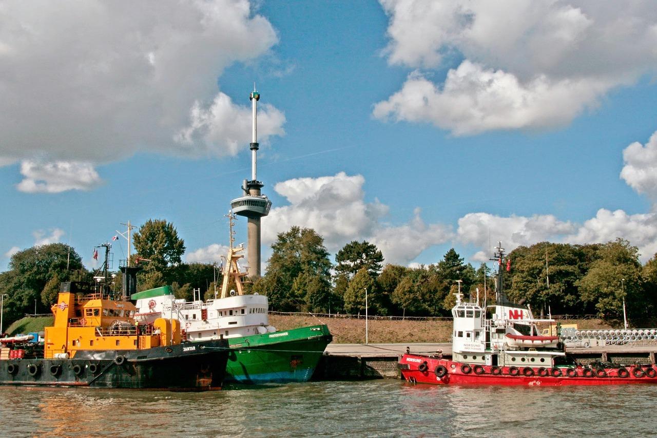 Widok na most Erazma z wieży Euromast