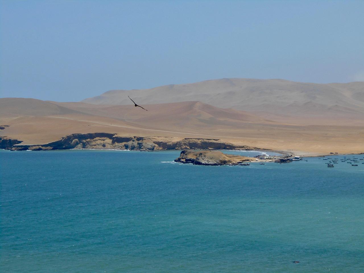 Paracas: najlepsze punkty widokowe i zdjęcia?