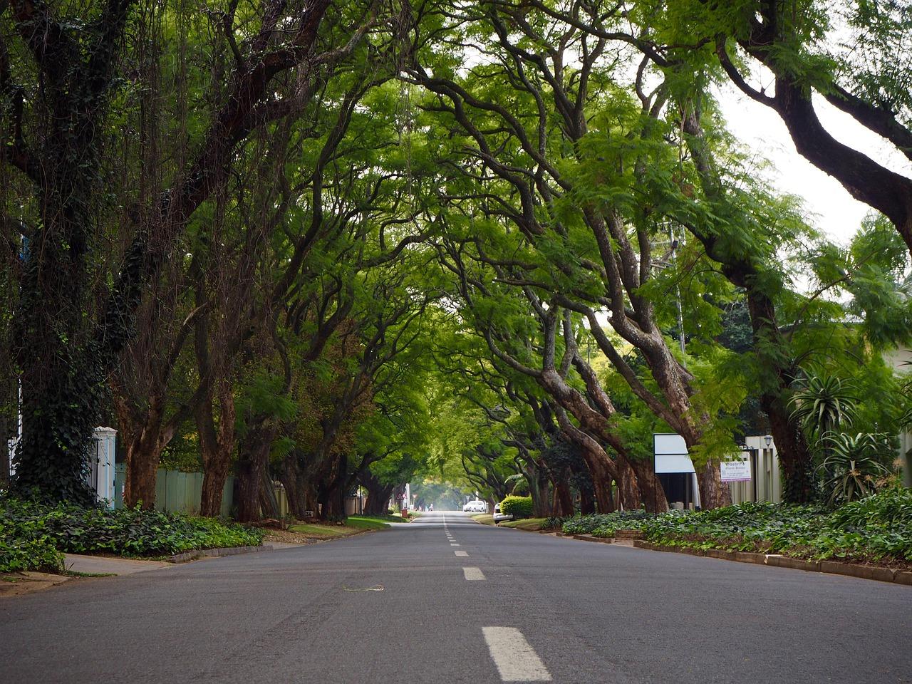Widok na miasto Johannesburg