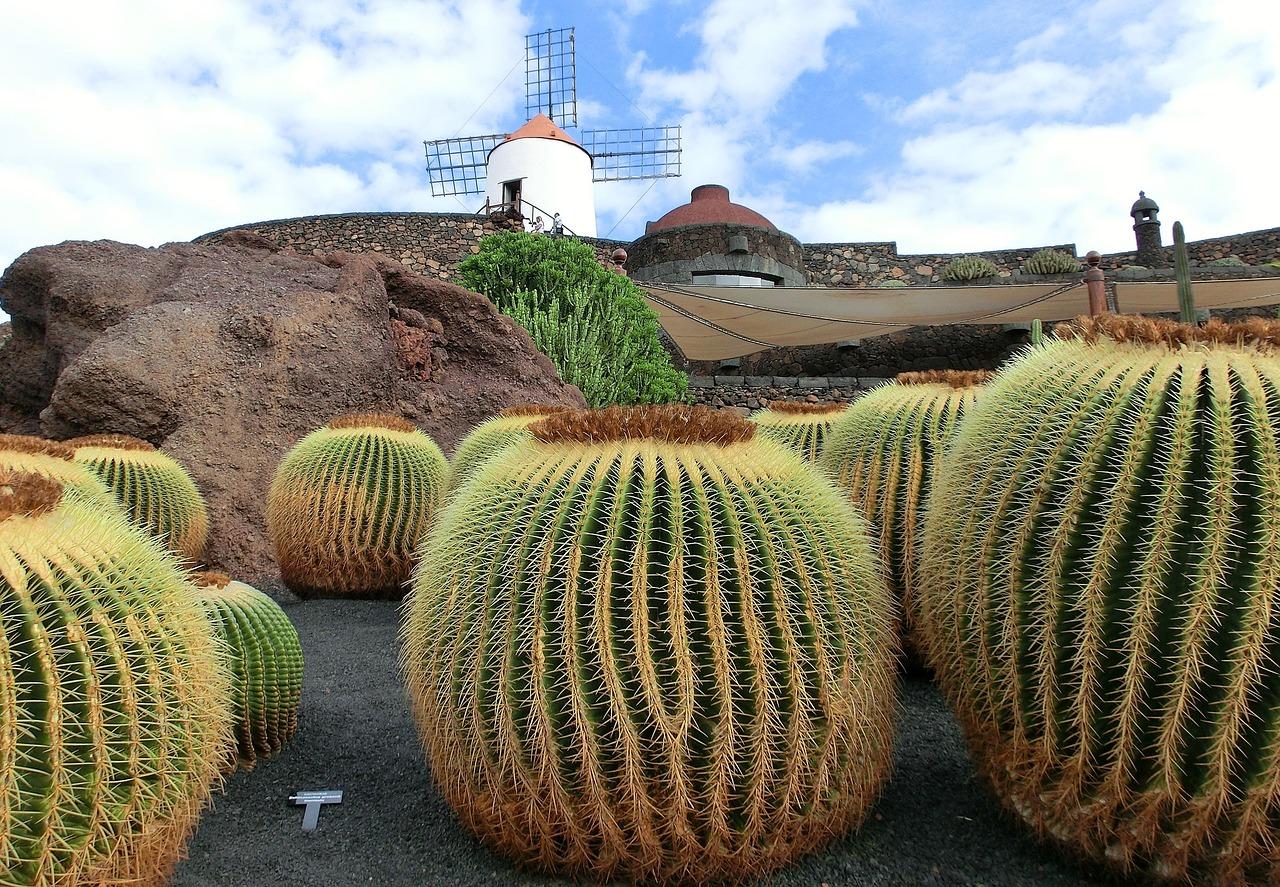 Piekna plaża w Lanzarote