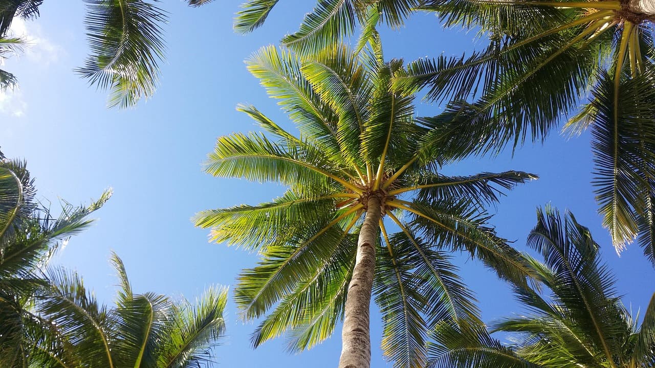 Plaża na Filipinach