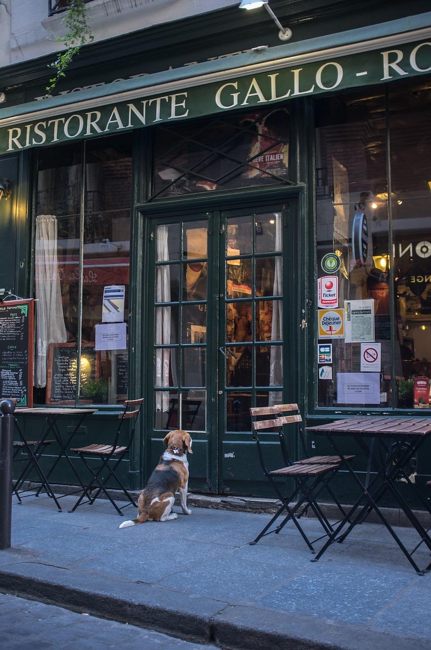 Potrawa z lokalnej restauracji