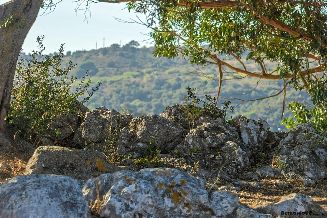 Plaża na Ilheu de Vila Franca